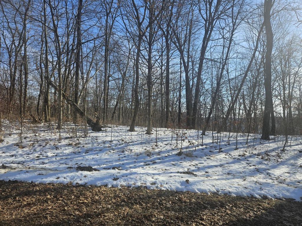 Photo of 9450 Deepwoods LANE #Lot 53, Bagley, WI 53801 (MLS # 1945808)