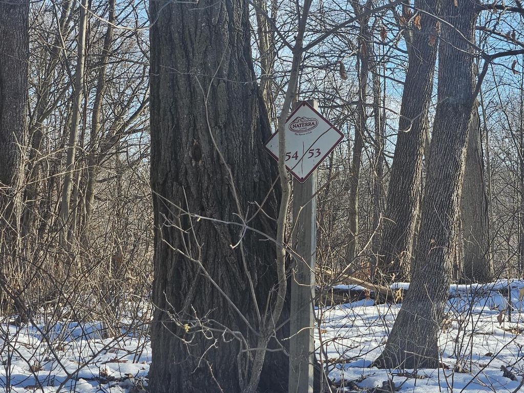 Photo of 9450 Deepwoods LANE #Lot 53, Bagley, WI 53801 (MLS # 1945808)