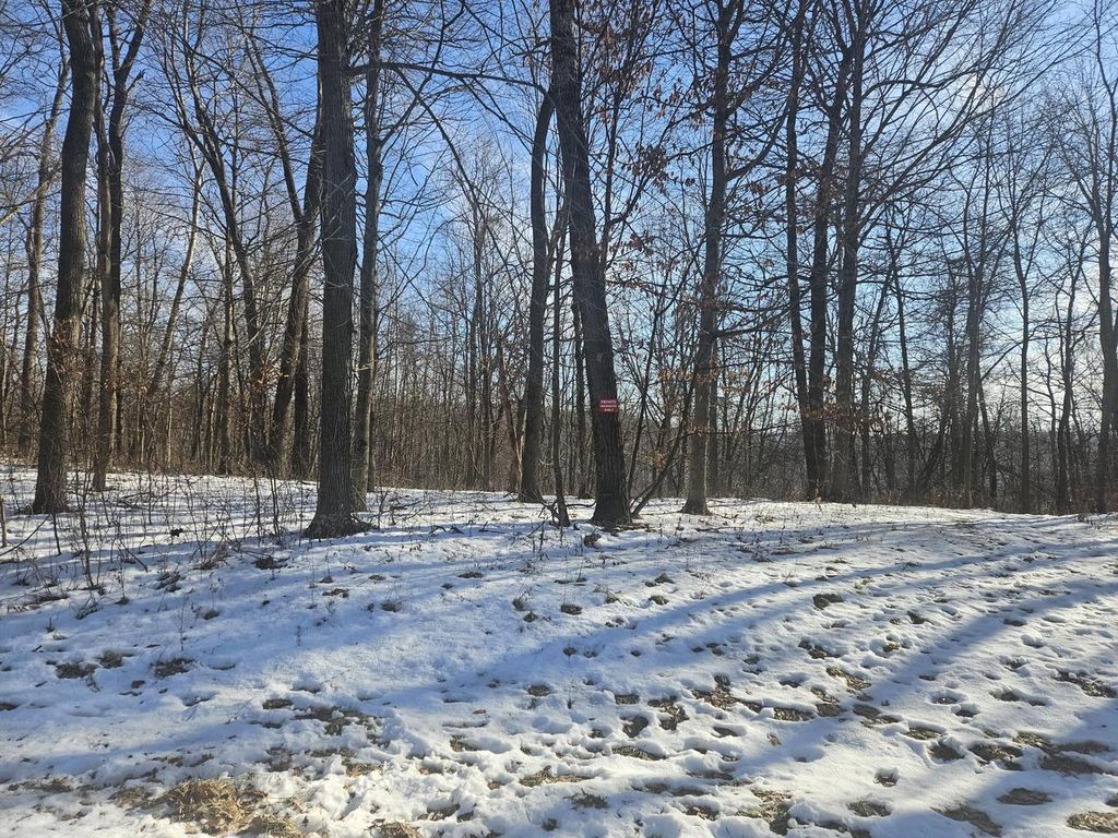 Photo of 9450 Deepwoods LANE #Lot 53, Bagley, WI 53801 (MLS # 1945808)
