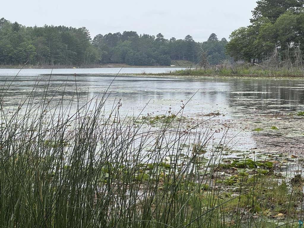 Photo of XXXX S Loon Lake ROAD, Solon Springs, WI 54873 (MLS # 6127102)