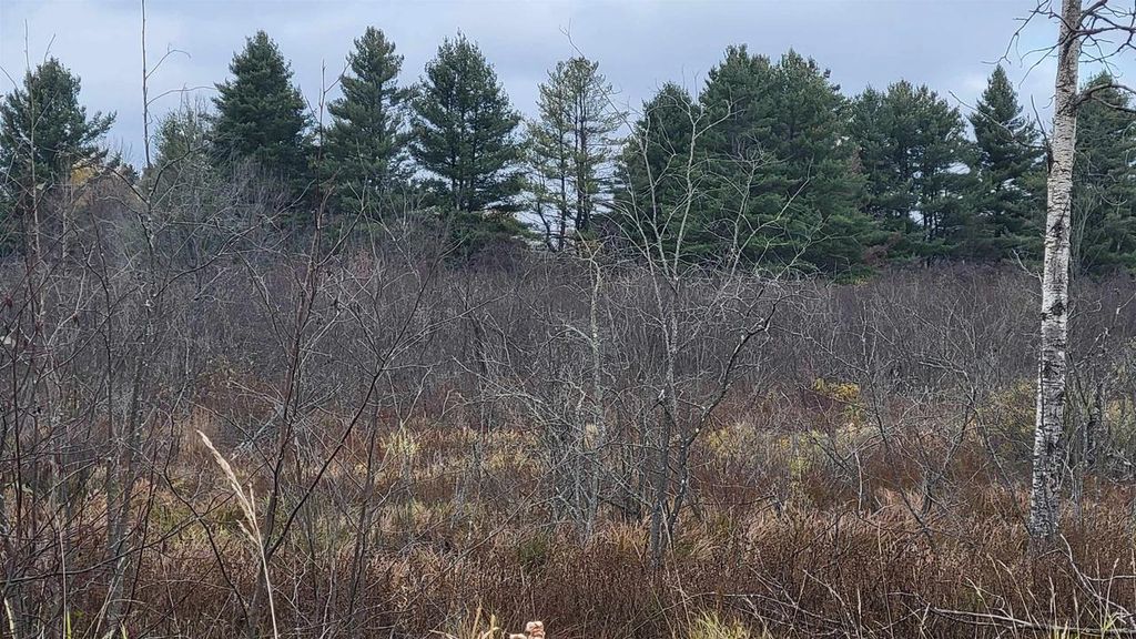 Photo of County Highway J, Kennan, WI 54537 (MLS # 50317510)