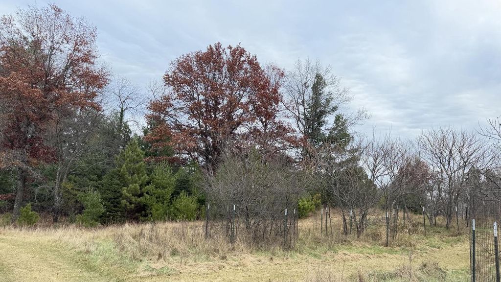 Photo of Lt3 Boat Landing 11 ROAD, Silver Cliff, WI 54104 (MLS # 1942959)