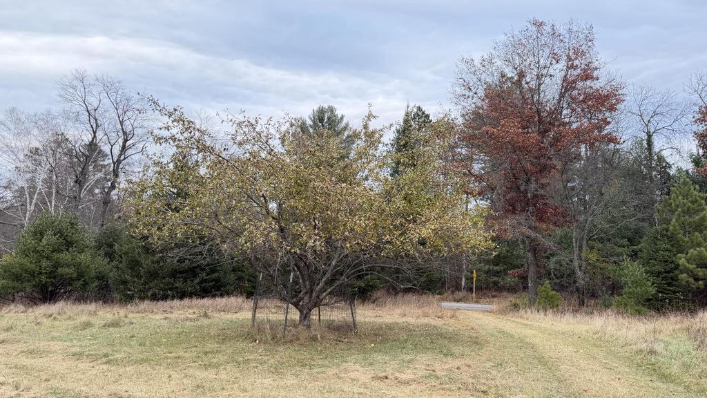 Photo of Lt3 Boat Landing 11 ROAD, Silver Cliff, WI 54104 (MLS # 1942959)