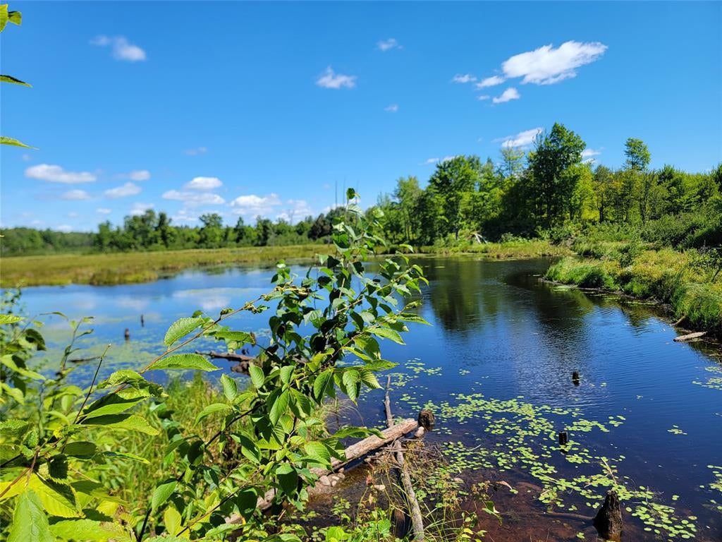 Photo of 5522N County Highway G, Winter, WI 54896 (MLS # 1605127)
