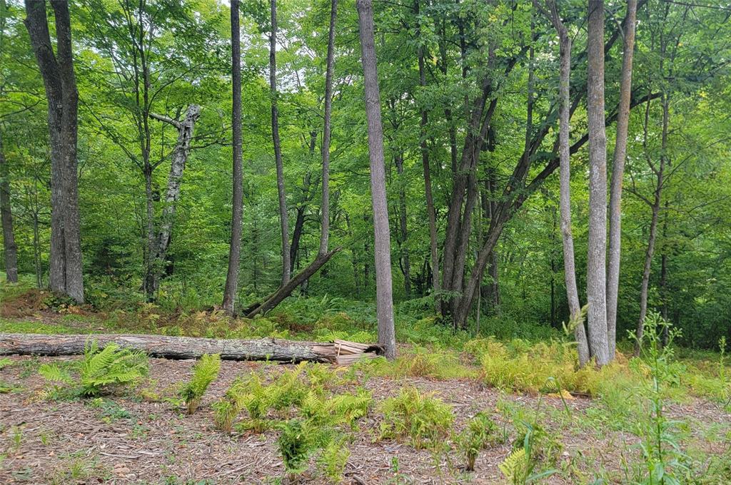 Photo of 5522N County Highway G, Winter, WI 54896 (MLS # 1605127)