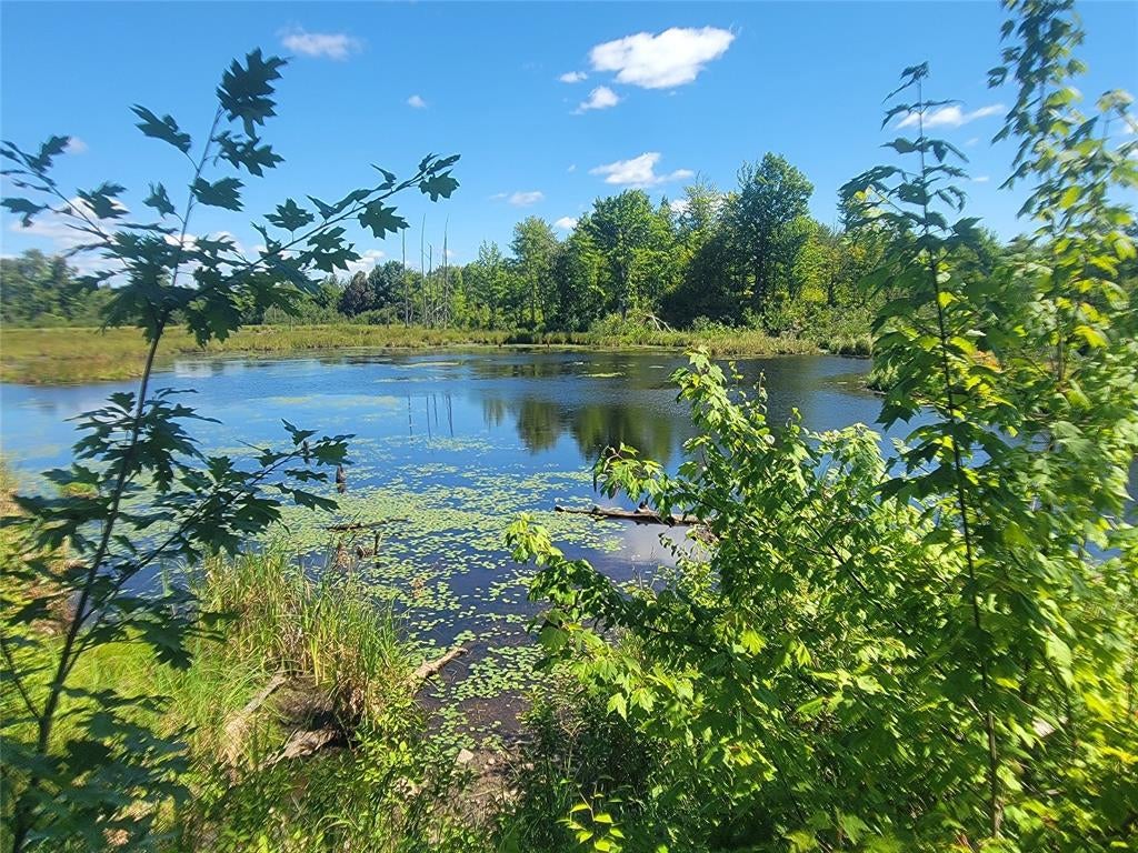 Photo of 5522N County Highway G, Winter, WI 54896 (MLS # 1605127)