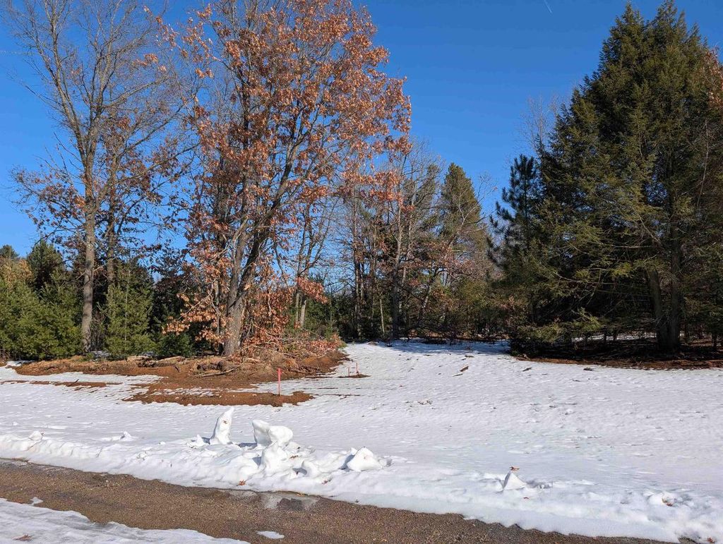 Photo of 3440 Ravenswood WAY #Lot 96, Plover, WI 54467 (MLS # 22600629)