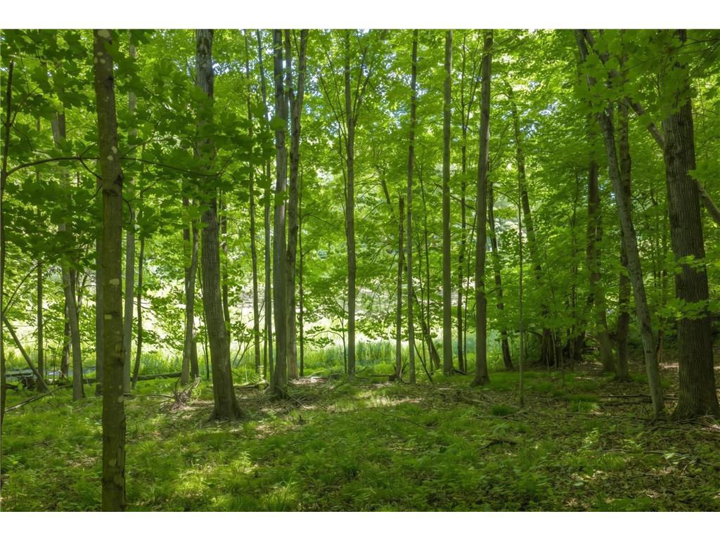 Photo of TDB Kemah Park Drive, Balsam Lake, WI 54810 (MLS # 7102209)