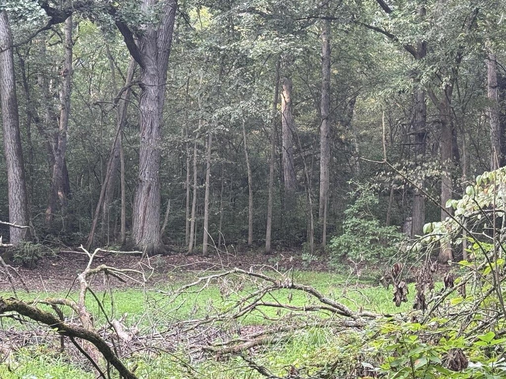 Photo of Lt1 Woodstead ROAD, Waterford, WI 53185 (MLS # 1979105)