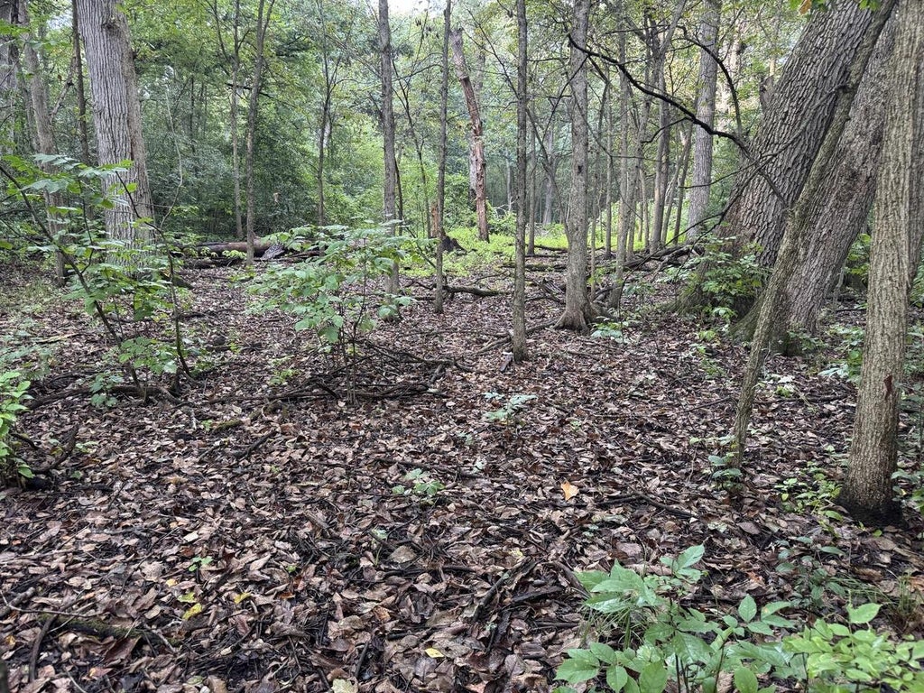 Photo of Lt1 Woodstead ROAD, Waterford, WI 53185 (MLS # 1979105)