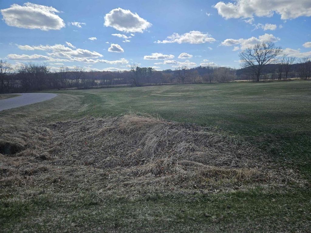 Photo of Lot 25 / Lot 26 Gold Rush COURT, Reedsburg, WI 53959 (MLS # 2019859)