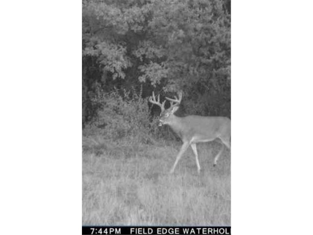 Photo of 0 Lake Rd, Melrose, WI 54642 (MLS # 7059871)