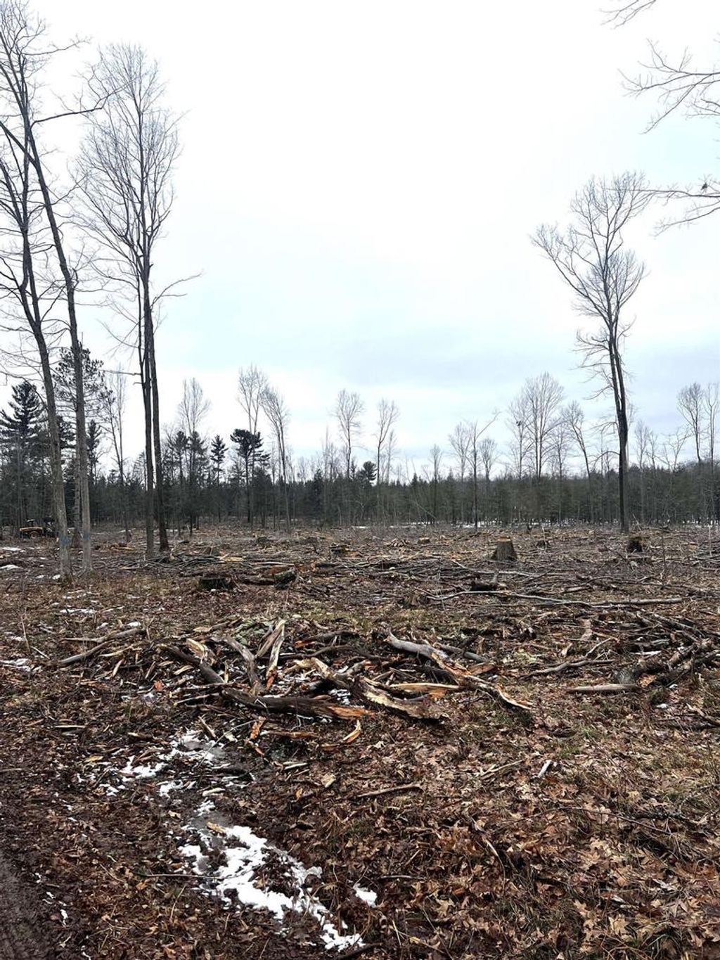 Photo of Mount Vista ROAD, Mosinee, WI 54455 (MLS # 22600692)