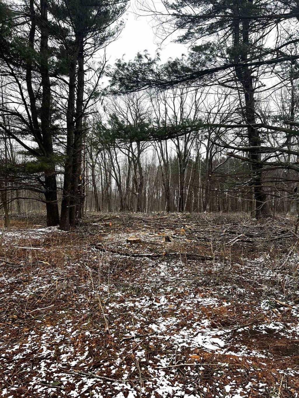 Photo of Mount Vista ROAD, Mosinee, WI 54455 (MLS # 22600692)