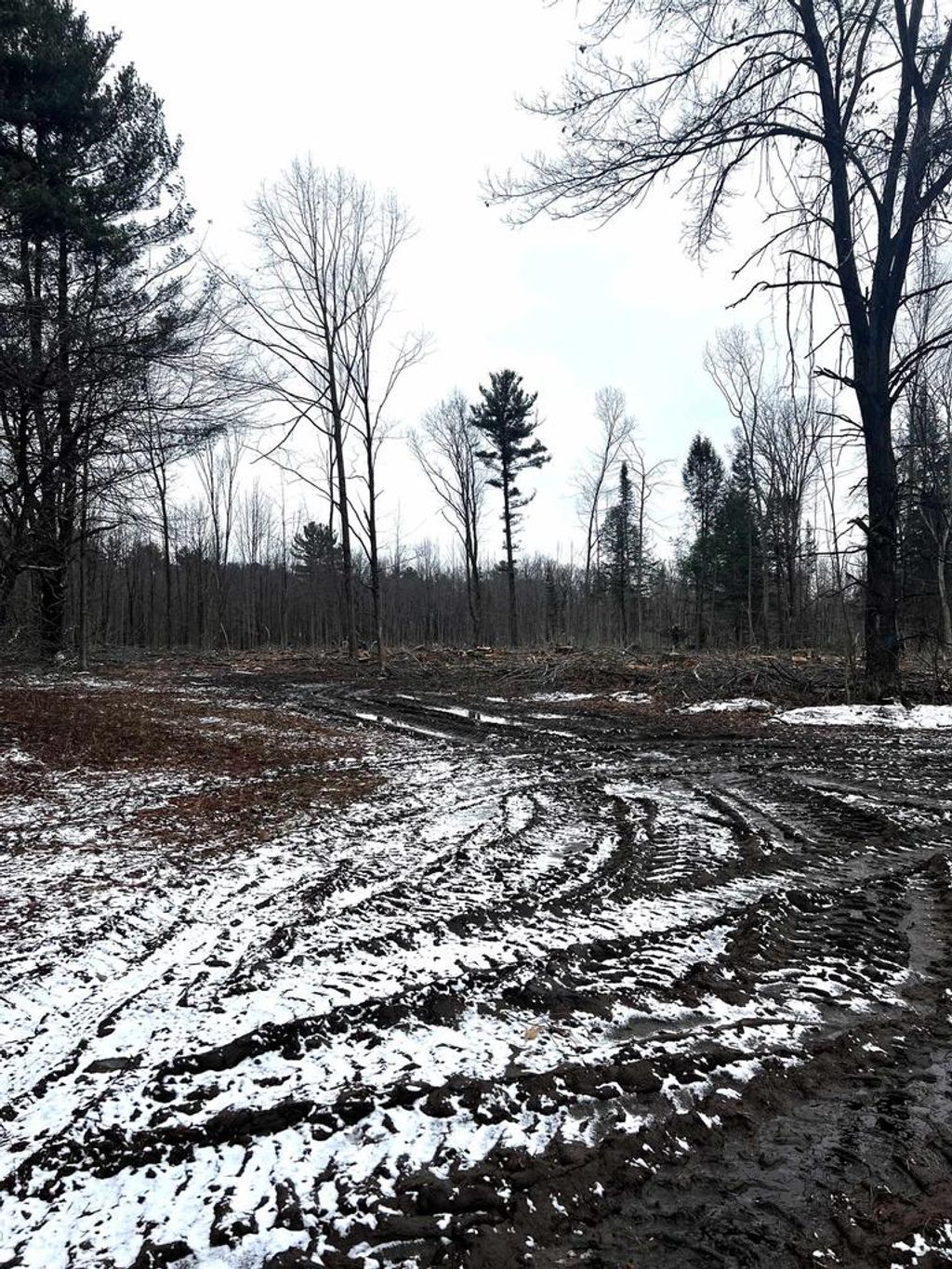 Photo of Mount Vista ROAD, Mosinee, WI 54455 (MLS # 22600692)