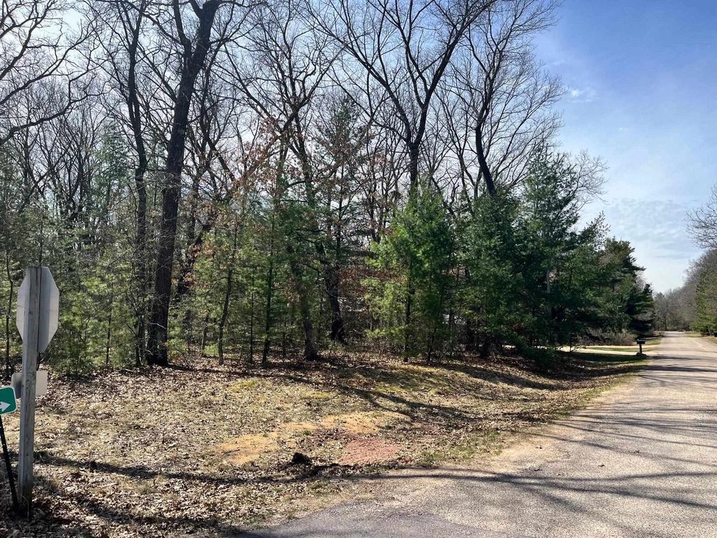Photo of L 87 &amp; 102 13th DRIVE, Friendship, WI 53934 (MLS # 2020662)