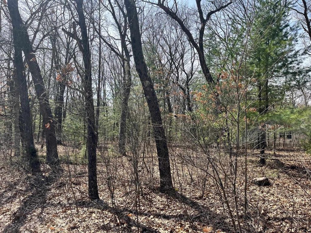 Photo of L 87 &amp; 102 13th DRIVE, Friendship, WI 53934 (MLS # 2020662)