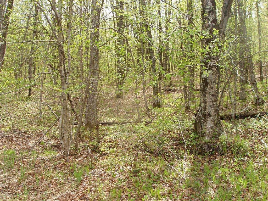 Photo of N16473 Patterson Lake ROAD, Park Falls, WI 54552 (MLS # 1603551)