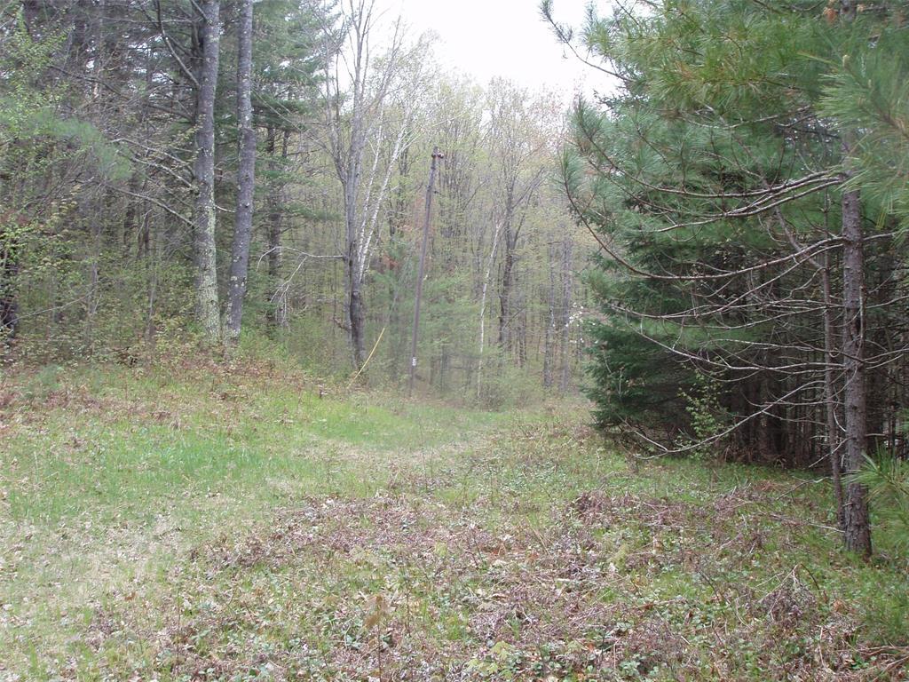 Photo of N16473 Patterson Lake ROAD, Park Falls, WI 54552 (MLS # 1603551)