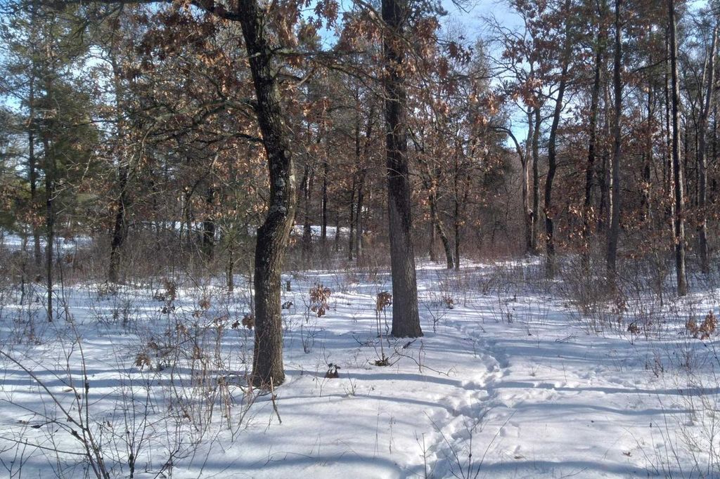 Photo of 478 13th AVENUE, Nekoosa, WI 54457 (MLS # 2014464)