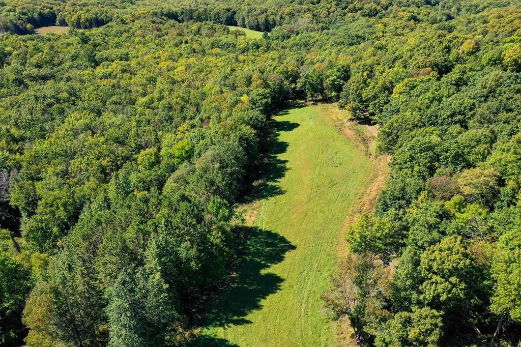 Photo of 55.55 Acres Brush Creek ROAD, Medford, WI 54451 (MLS # 22604662)