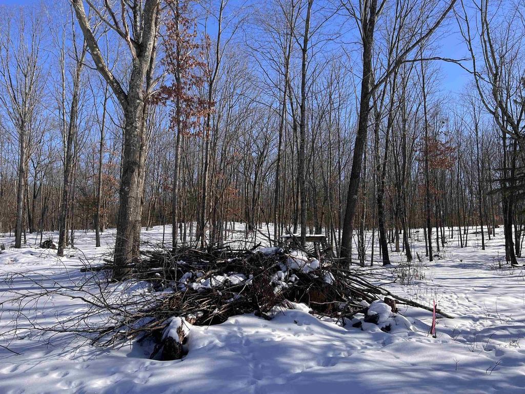 Photo of Rhett LANE, Wausaukee, WI 54177 (MLS # 50320733)