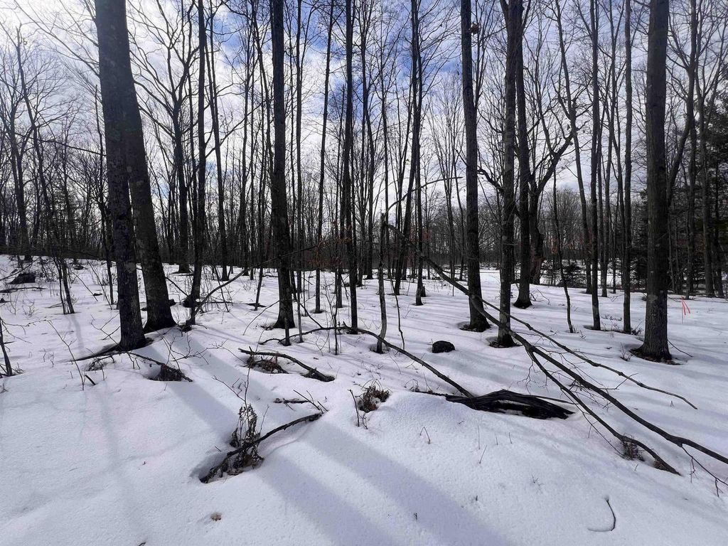 Photo of Rhett LANE, Wausaukee, WI 54177 (MLS # 50320733)