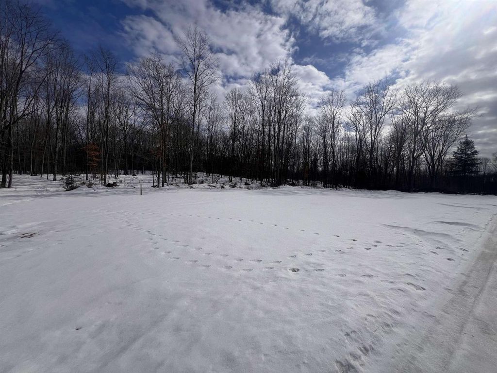 Photo of Rhett LANE, Wausaukee, WI 54177 (MLS # 50320733)