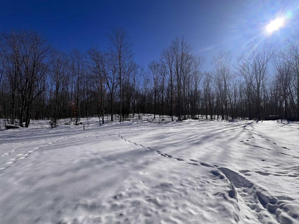 Photo of Rhett LANE, Wausaukee, WI 54177 (MLS # 50320733)