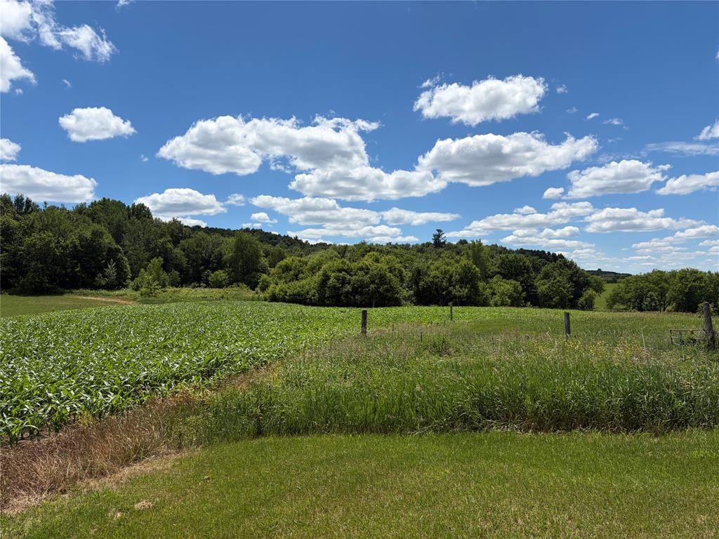 Photo of 1711 150th AVENUE, Colfax, WI 54730 (MLS # 1602516)