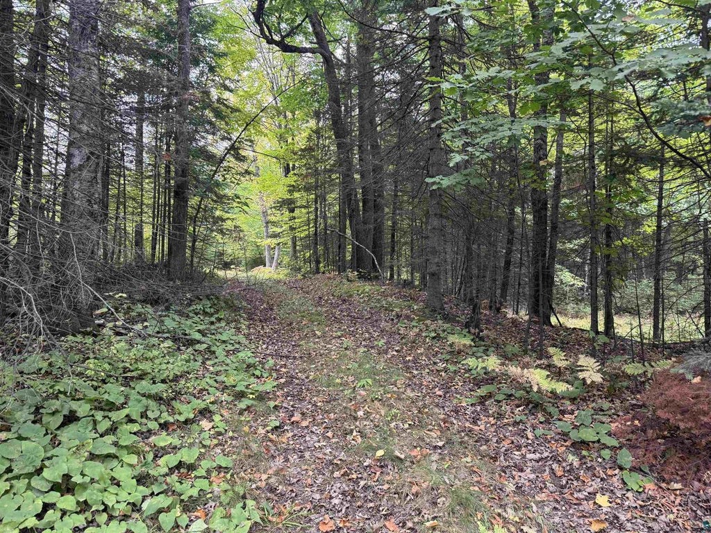 Photo of xxx S Dump ROAD, Maple, WI 54854 (MLS # 6128077)