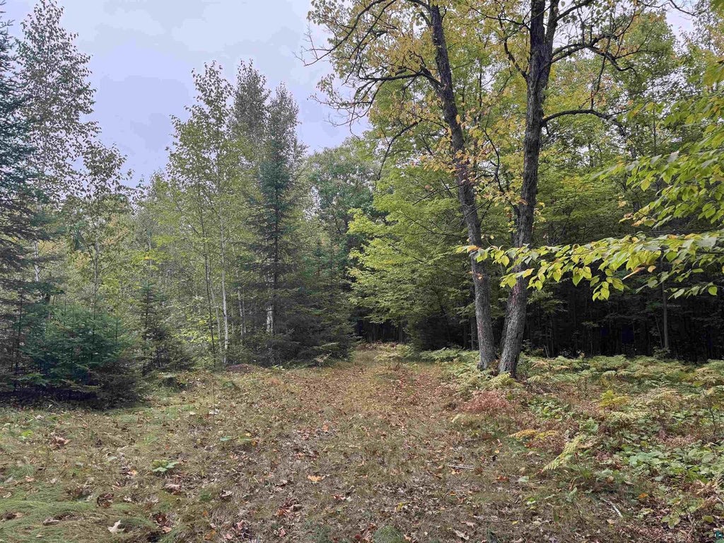 Photo of xxx S Dump ROAD, Maple, WI 54854 (MLS # 6128077)