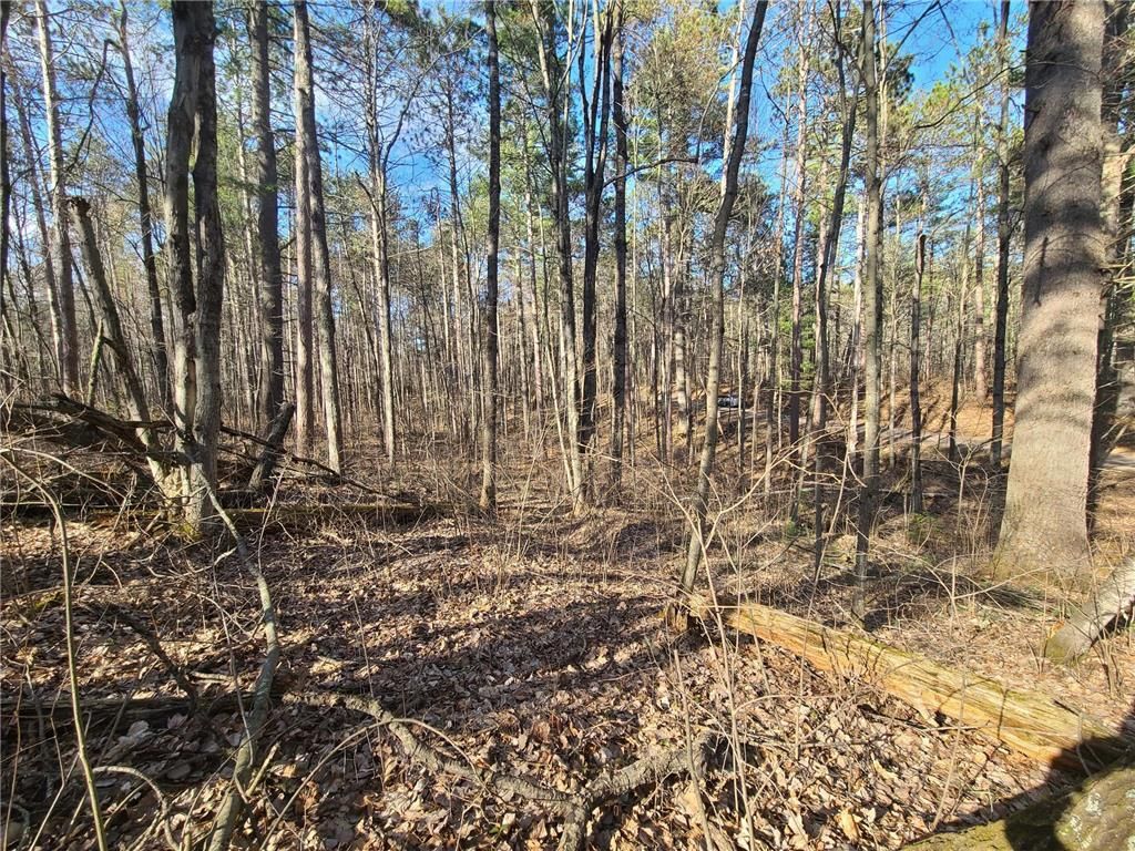 Photo of TBD N John Erickson AVENUE, Hayward, WI 54843 (MLS # 7019457)