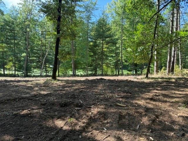 Photo of Lot 1 24 3/4 STREET, Chetek, WI 54728 (MLS # 1603320)
