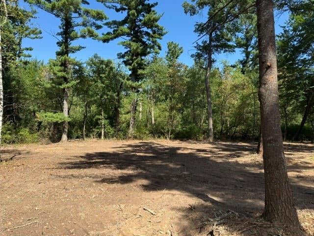 Photo of Lot 1 24 3/4 STREET, Chetek, WI 54728 (MLS # 1603320)