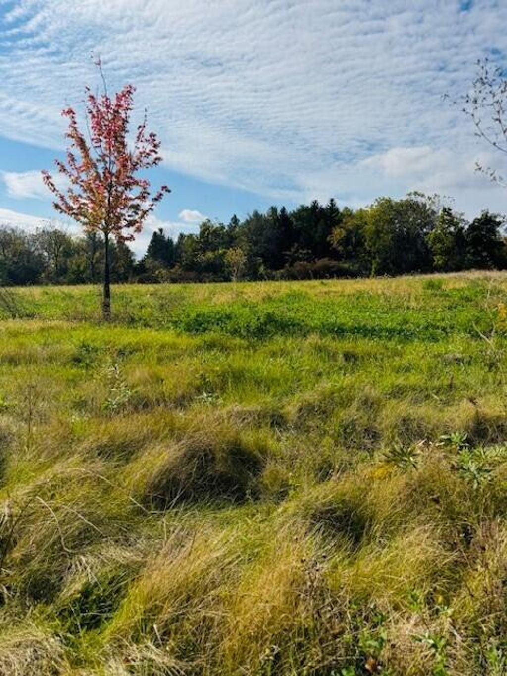 Photo of Lt6 Eastview DRIVE, Sharon, WI 53585 (MLS # 1939329)