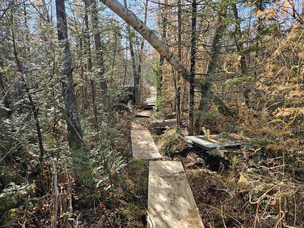 Photo of Hwy Pp, Wittenberg, WI 54486 (MLS # 50317993)