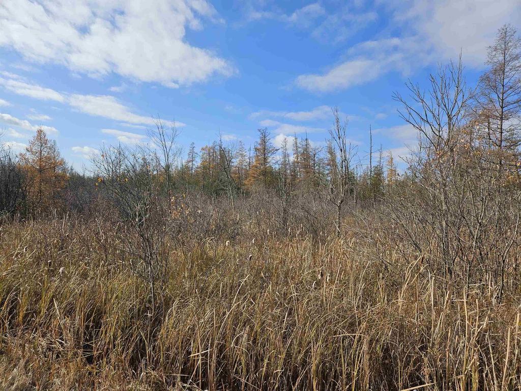 Photo of Hwy Pp, Wittenberg, WI 54486 (MLS # 50317993)
