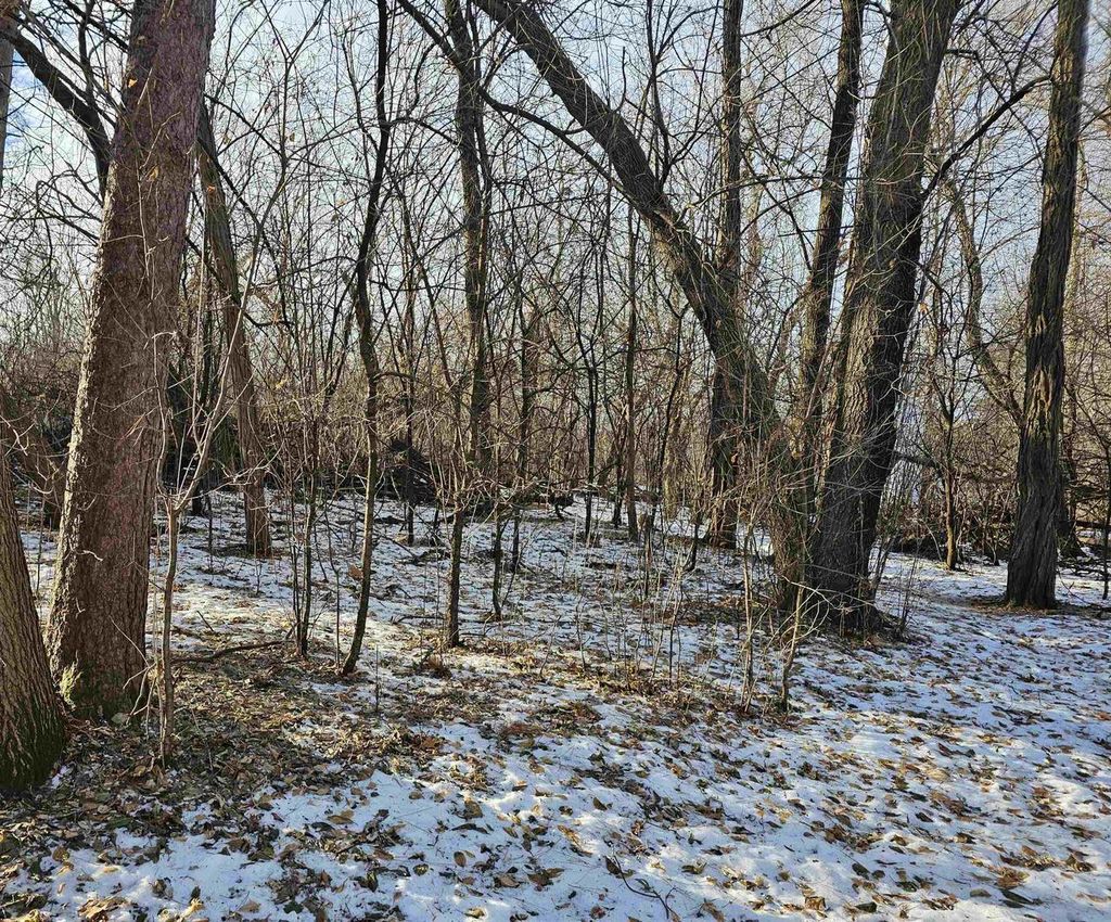 Photo of 703 S West STREET, Weyauwega, WI 54983 (MLS # 50320133)