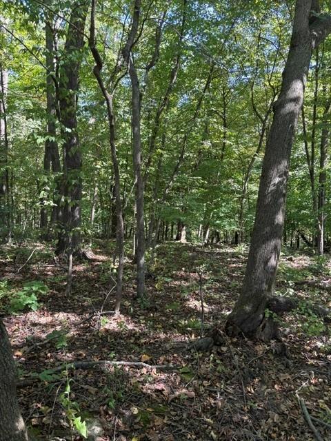Photo of 0 Opals LANE, Gays Mills, WI 54631 (MLS # 2032481)