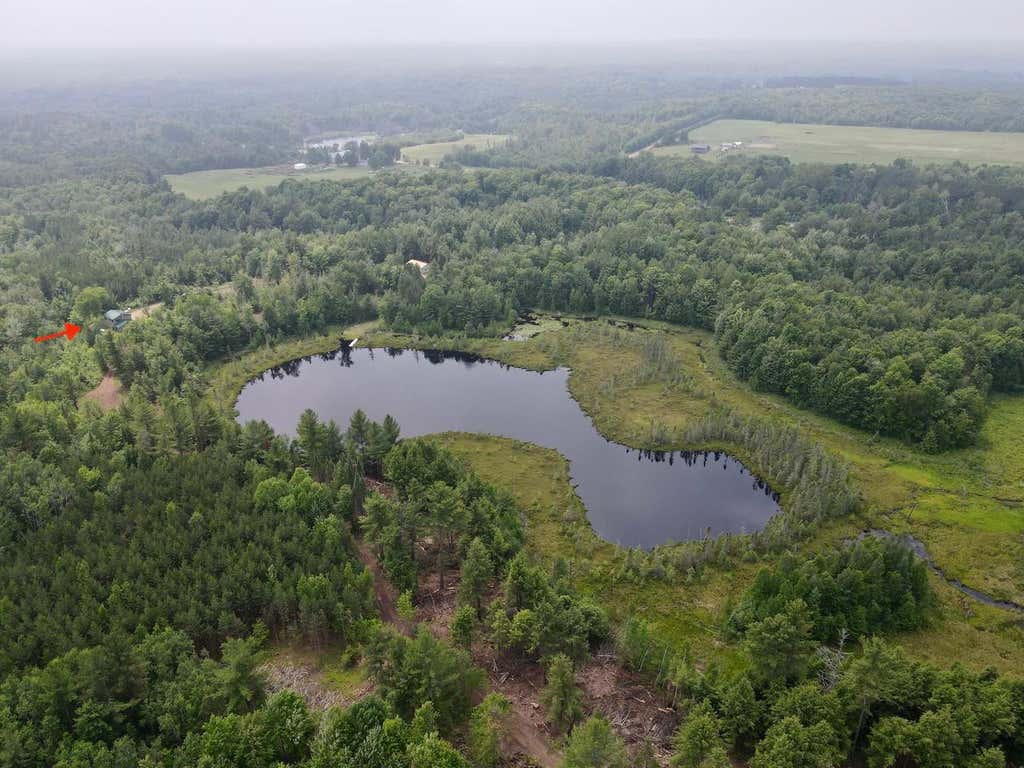 Photo of W4601 Olivotti Lake ROAD, Irma, WI 54442 (MLS # 22603088)