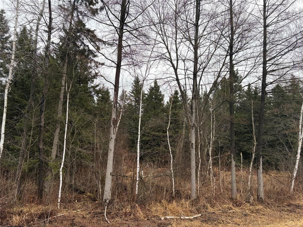 Photo of ON Sheep Camp Road, Ladysmith, WI 54848 (MLS # 1599297)