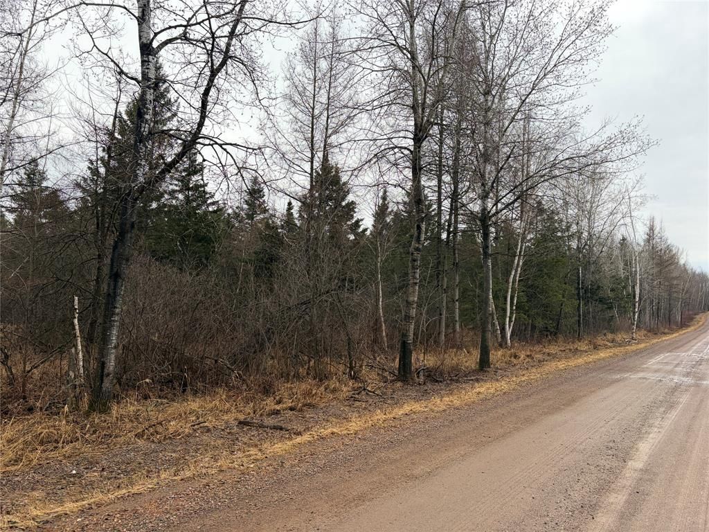 Photo of ON Sheep Camp Road, Ladysmith, WI 54848 (MLS # 1599297)
