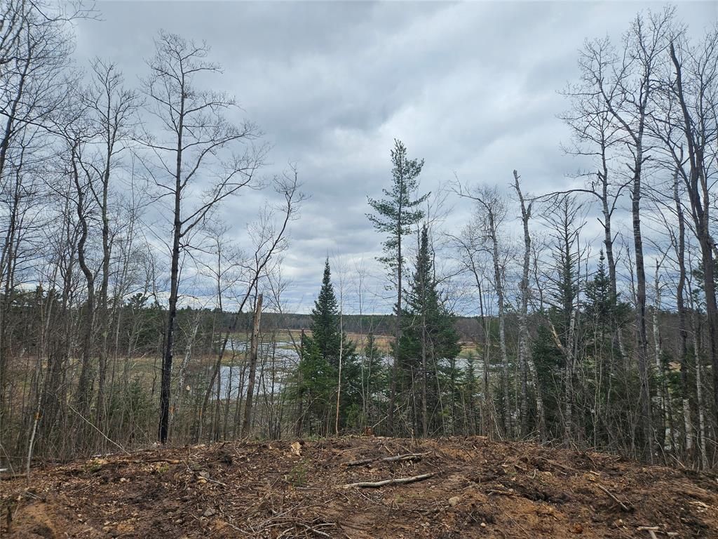Photo of 11284N Vasa ROAD, Hayward, WI 54843 (MLS # 1600642)