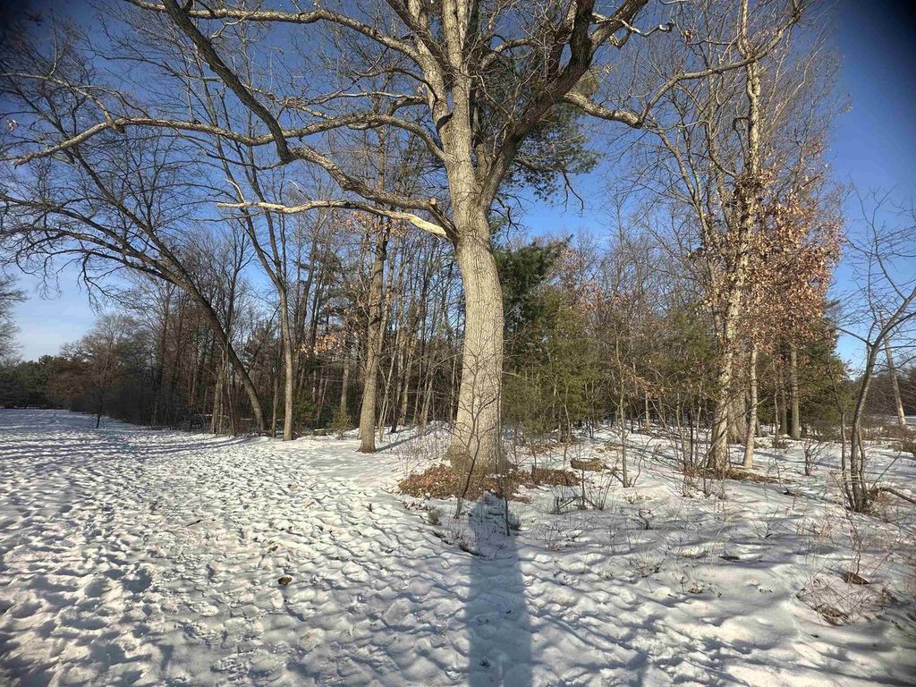 Photo of 2340 Carey STREET, Wisconsin Rapids, WI 54494 (MLS # 22600416)