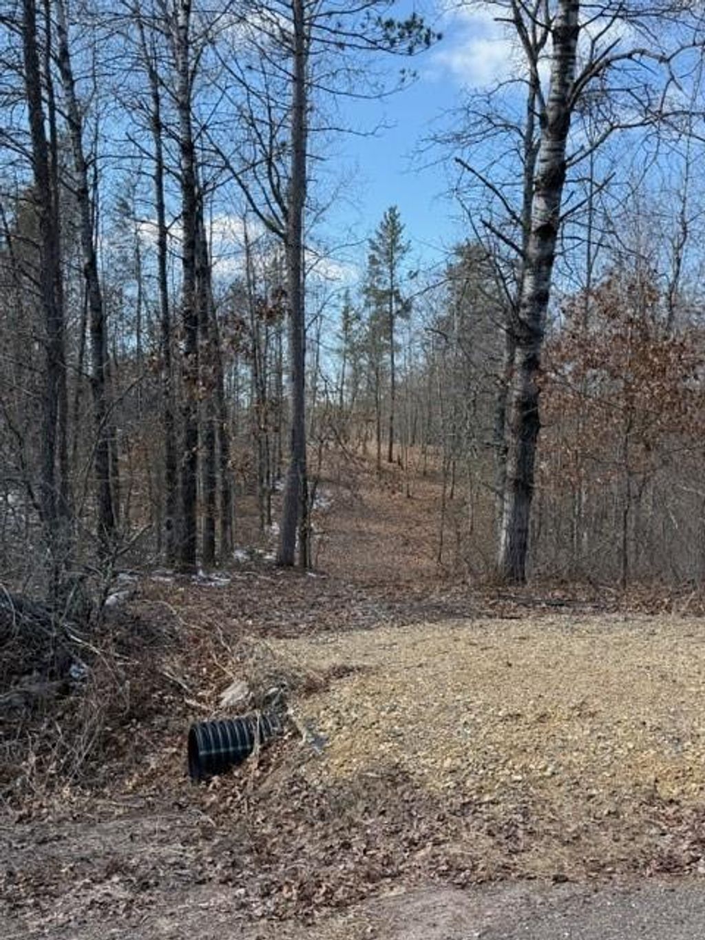 Photo of 3713 Bay DRIVE, Danbury, WI 54830 (MLS # 1599837)