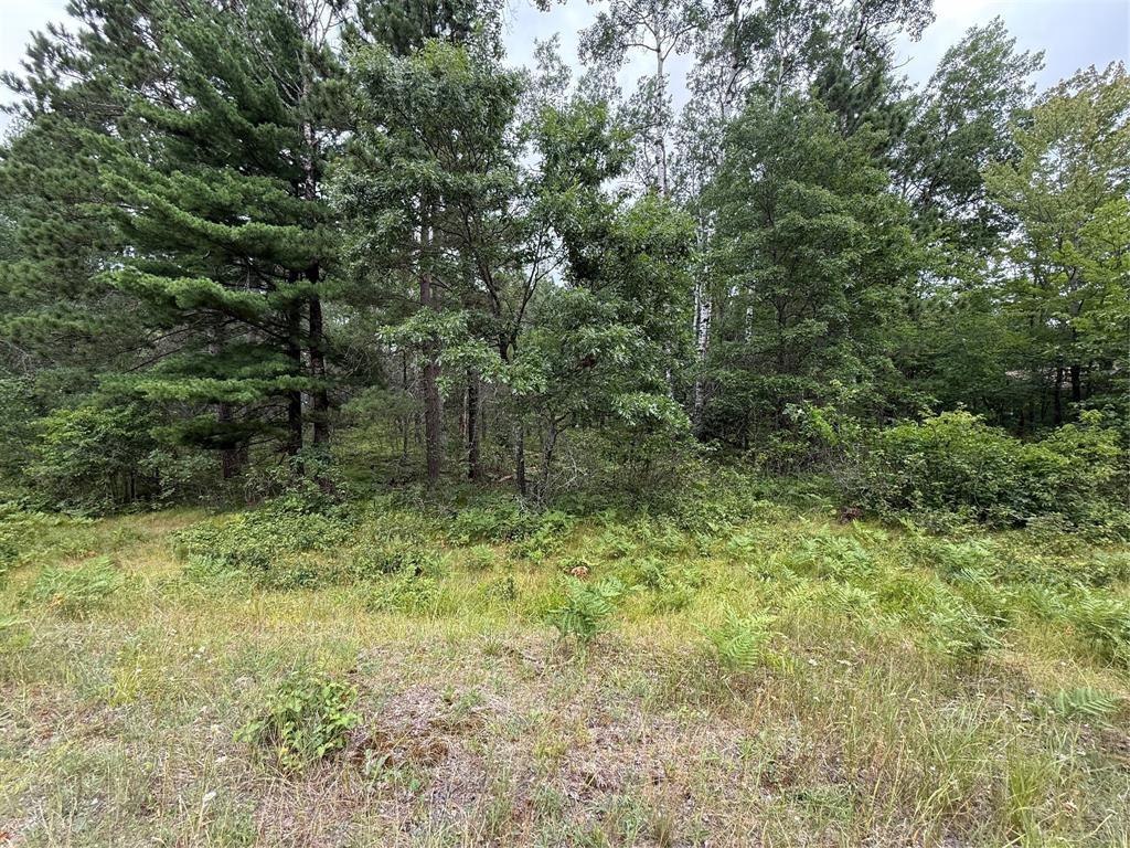 Photo of Lot 56 George Lake ROAD, Barnes, WI 54873 (MLS # 1603502)