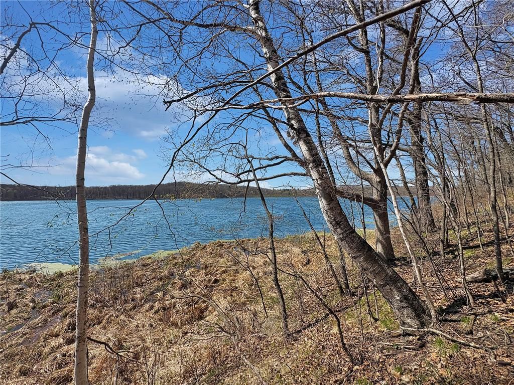 Photo of TBD 85th Street, Frederic, WI 54837 (MLS # 7064122)