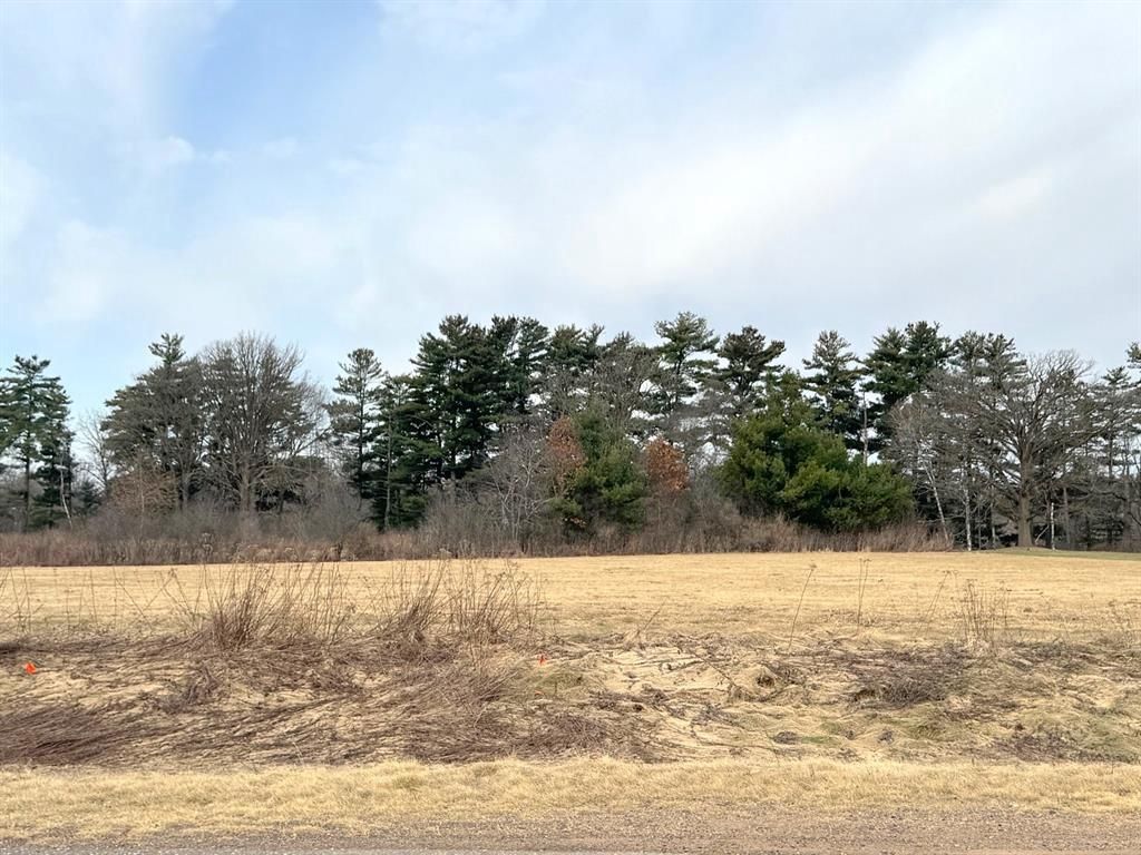 Photo of Lot 2 21st Street, Rice Lake, WI 54868 (MLS # 1599563)