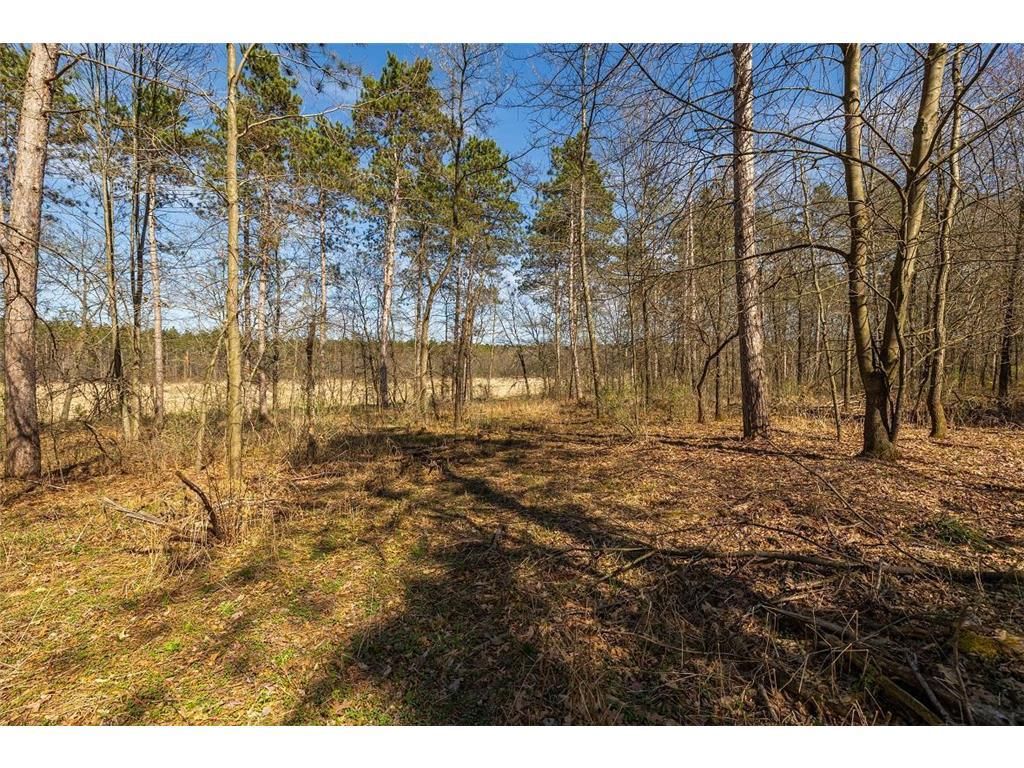 Photo of 0 Prairie Road East, Osseo, WI 54758 (MLS # 7059090)